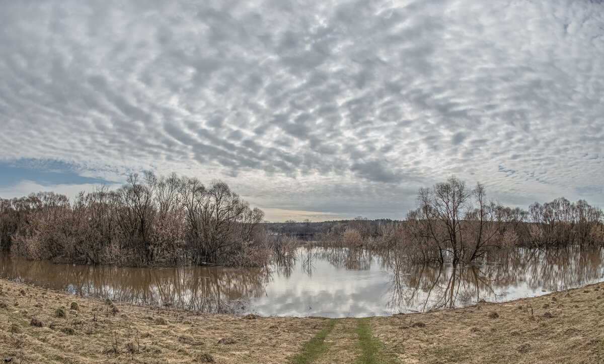 Дорога в облака. - Николай Дорога в облака. - Николай