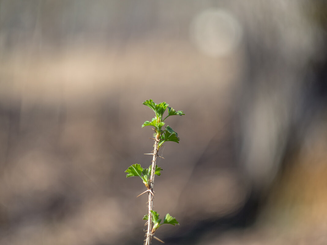 ___ - Yuriy V ___ - Yuriy V