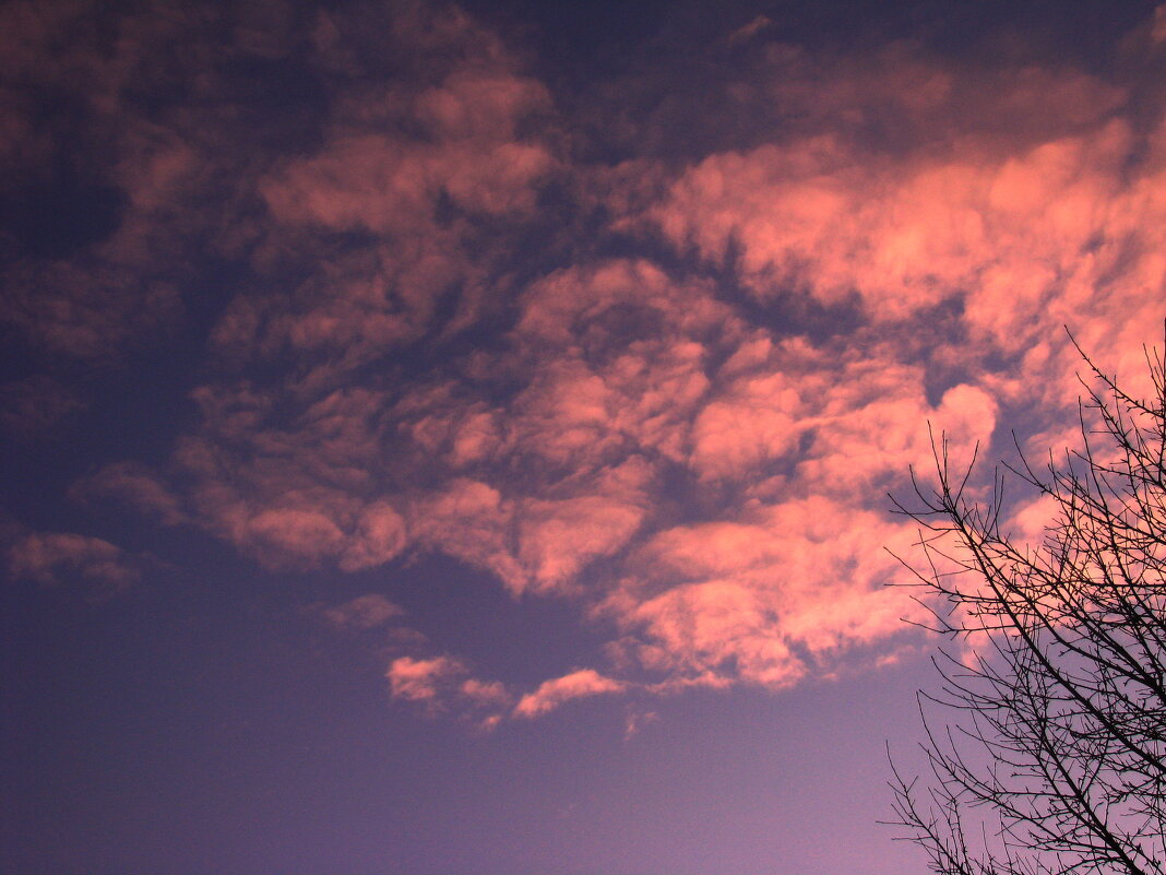 Вечерние облака - Людмила Смородинская
