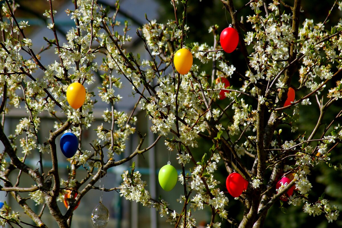 Светлое, ясное утро пасхальное - Юрий. Шмаков Светлое, ясное утро пасхальное - Юрий. Шмаков