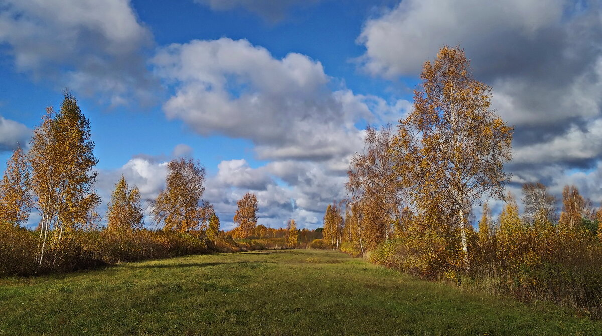 Осенний мотив .. - Татьян@ Ивановна