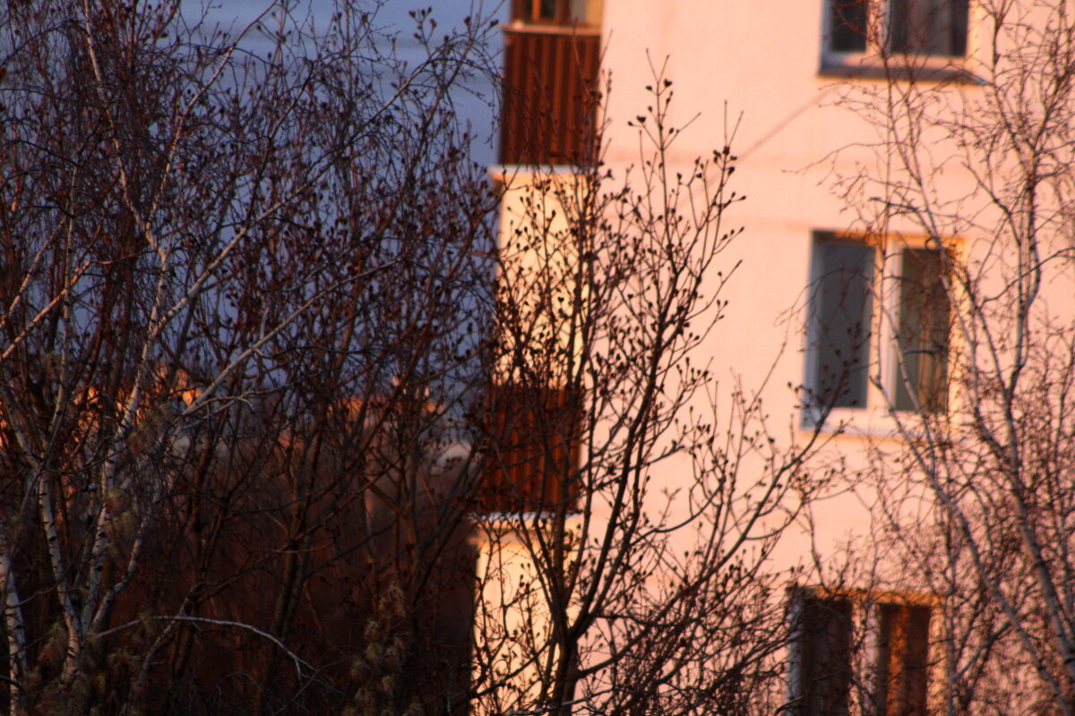 Пасхальный калорит - олег свирский Пасхальный калорит - олег свирский