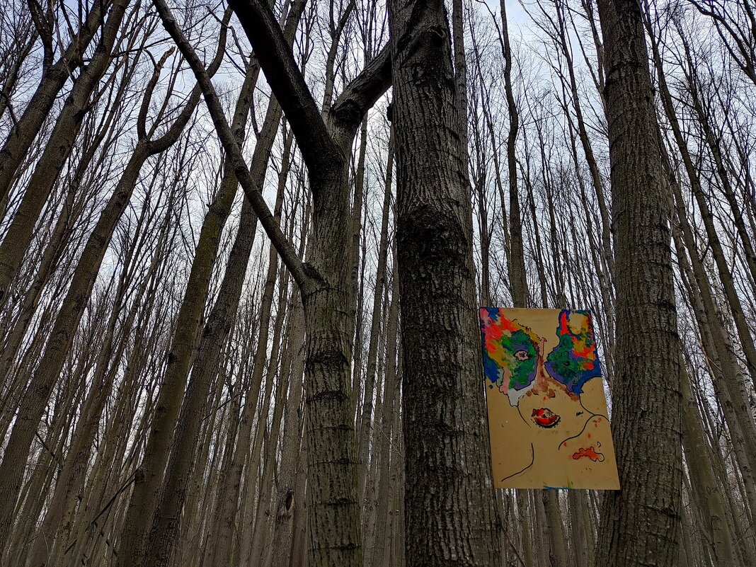 Из Леонида Губанова - Victor Vinocurov Из Леонида Губанова - Victor Vinocurov