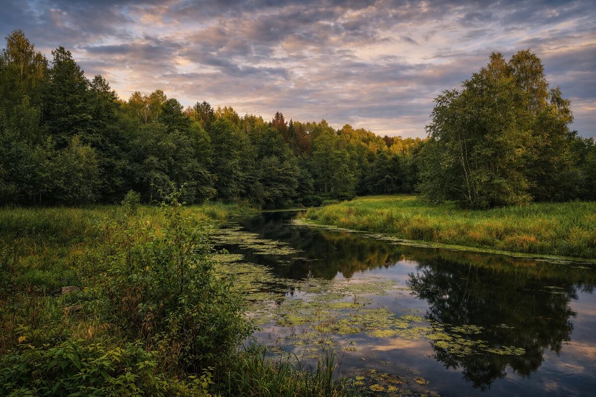 Река Нерль - Денис Бочкарёв