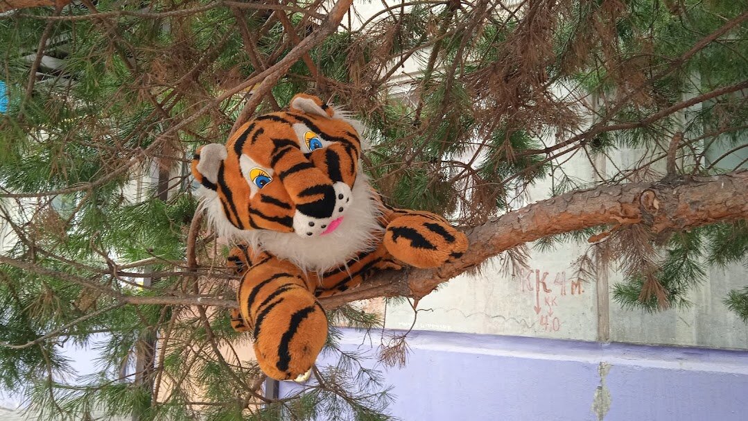 Затаился - Елена Шаламова