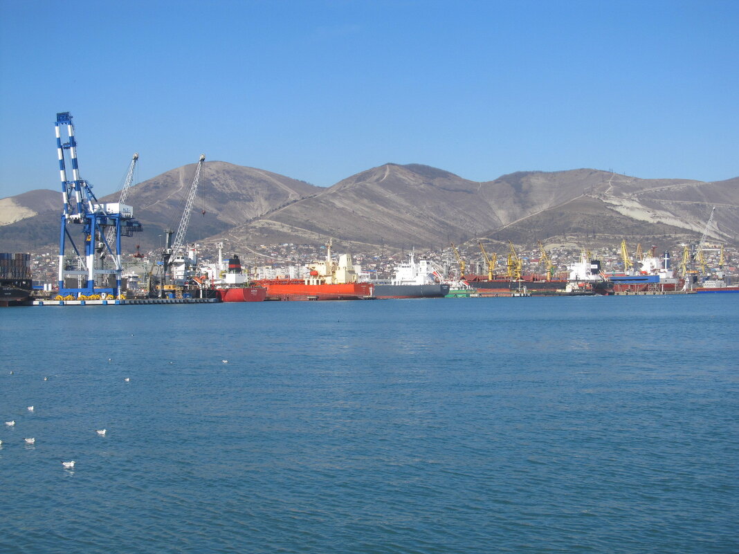 Новороссийск - Елена Шаламова