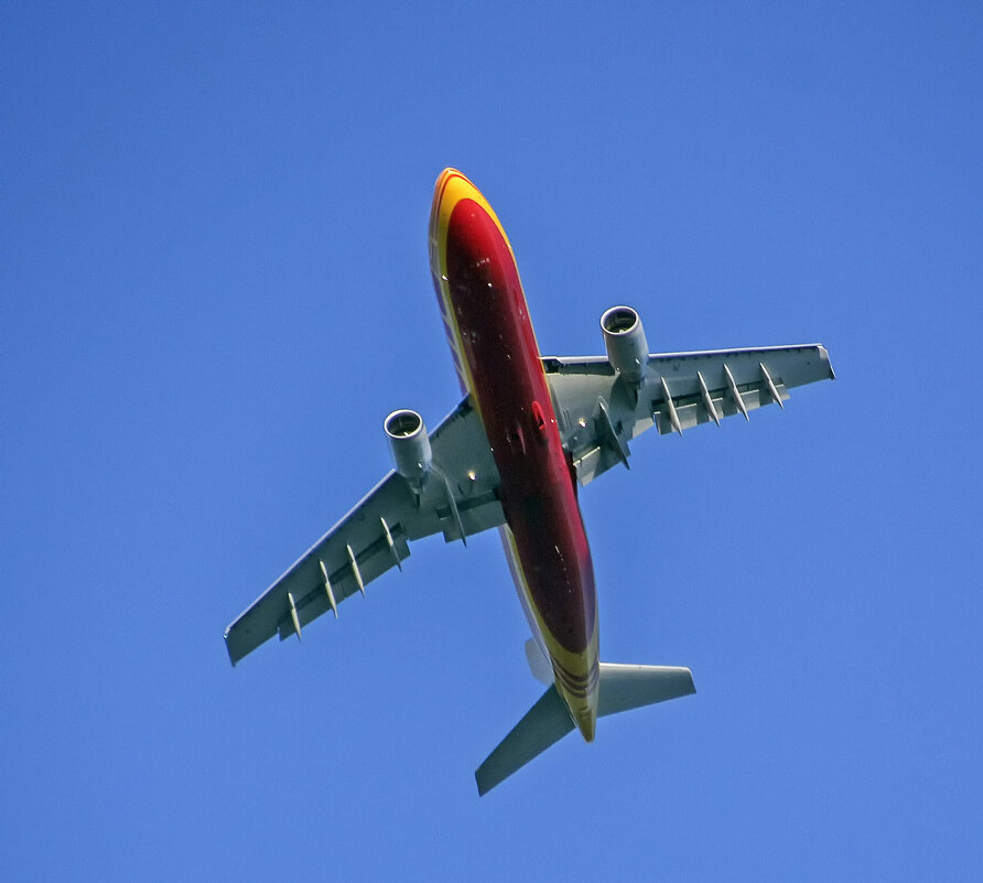 ***** - Андроник Александр 