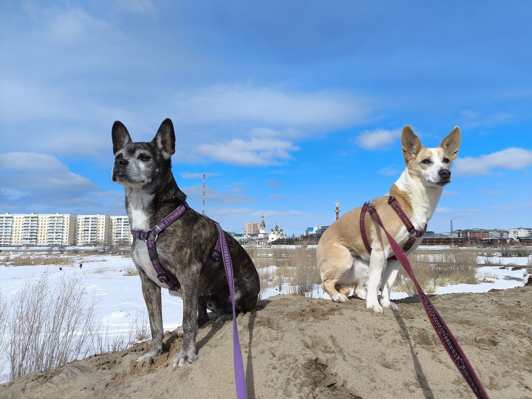 Прогулки - Anna Ivanova Прогулки - Anna Ivanova