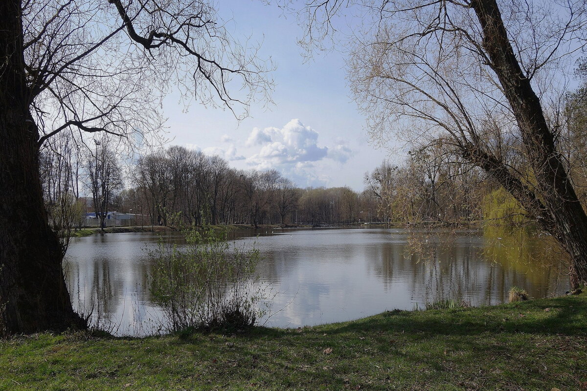 Апрельский пейзаж - Рита Симонова