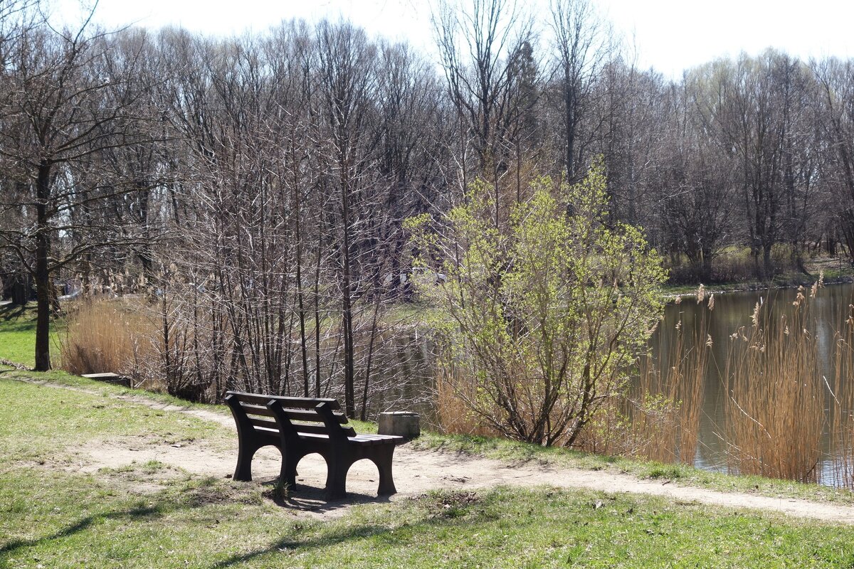 Апрель - Рита Симонова