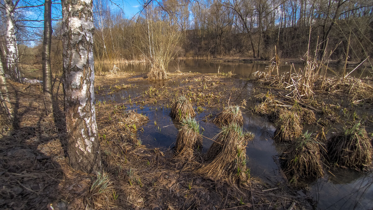 ***** - юрий поляков