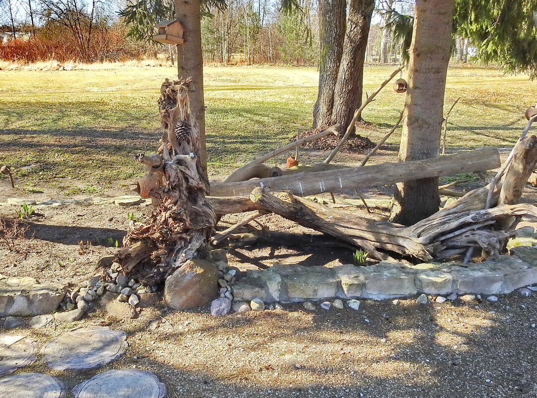 коллекция пней - ИННА ПОРОХОВА