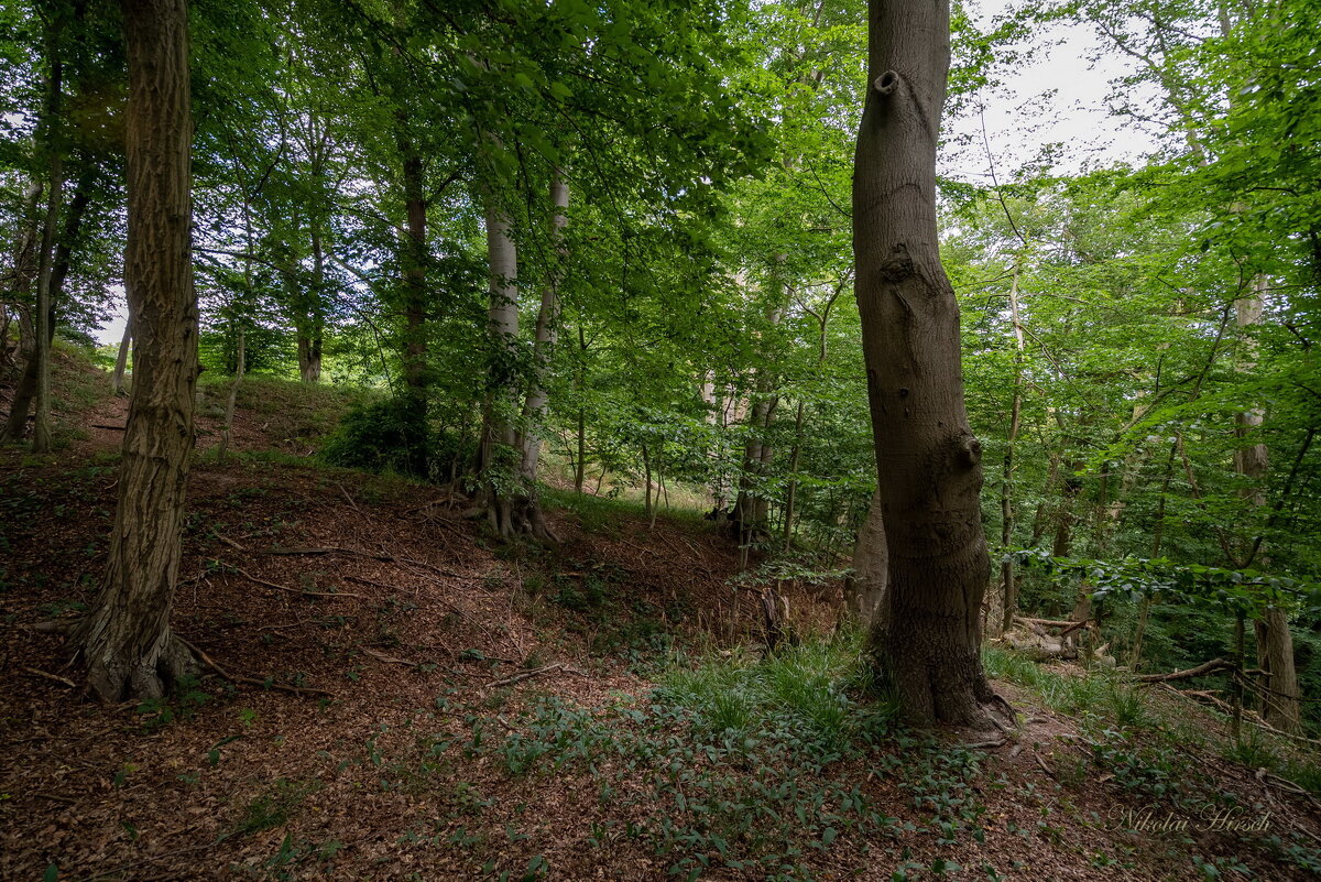 *** - Николай Гирш *** - Николай Гирш