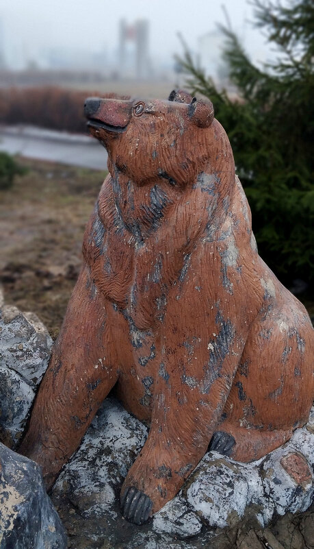 Медведица - Радмир Арсеньев