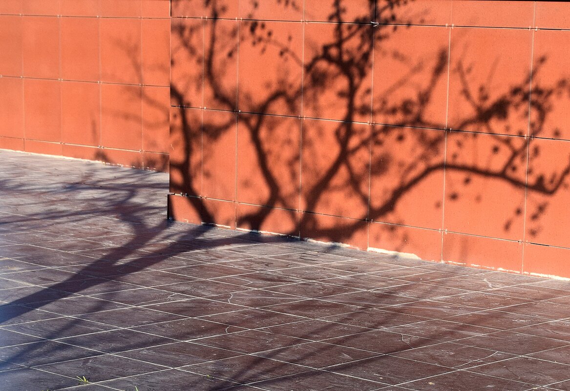 Апрельская тень - Павленко Михаил 