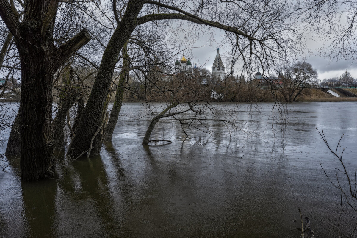 Деревья в половодье - sorovey Sol Деревья в половодье - sorovey Sol