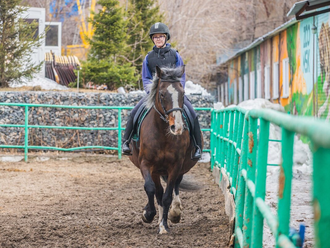 НА КОНЕ - Аркадий Лаптенко