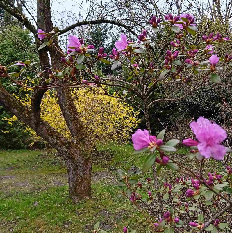 В Ботаническом саду - Галина Бобкина