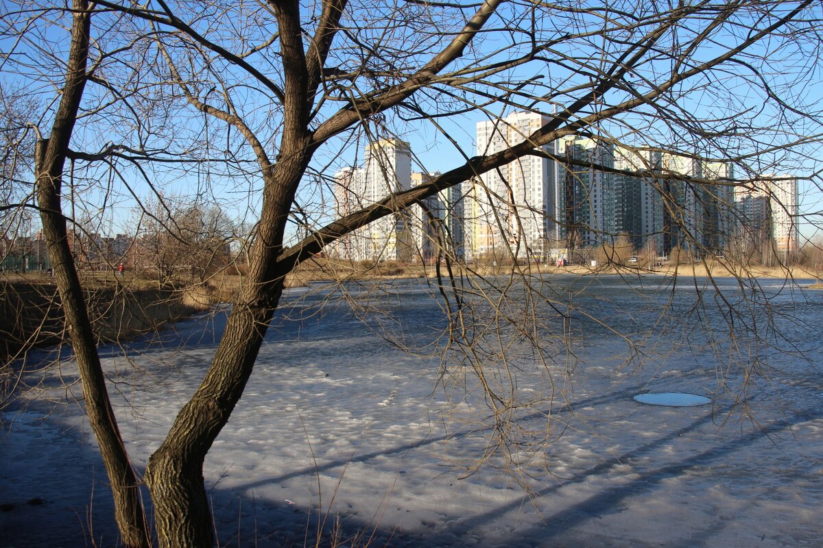 Март - Наталья Герасимова