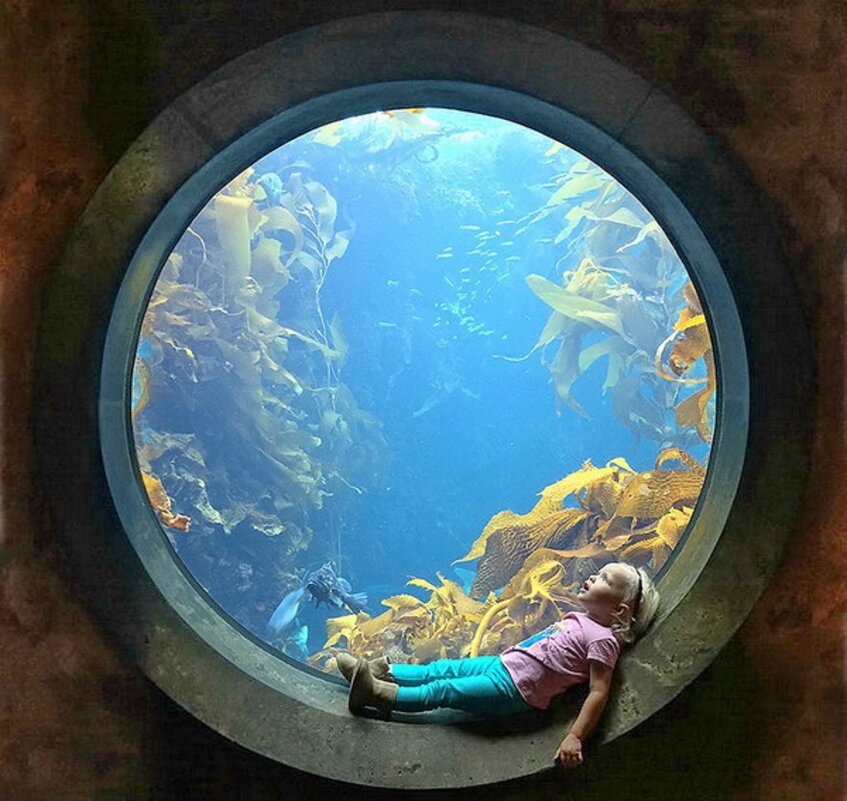 Подводный мир -1 - irina Schwarzer 