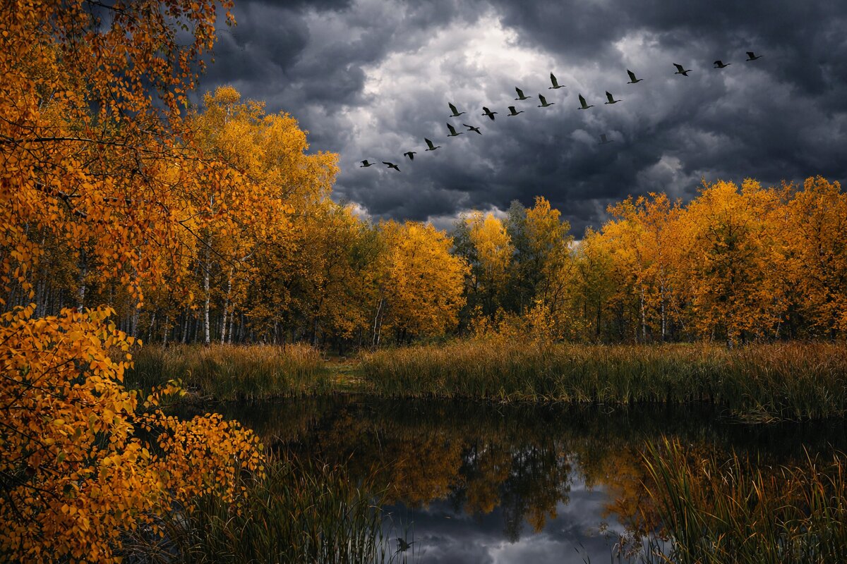 Соавторство с ИИ - Роман Савоцкий