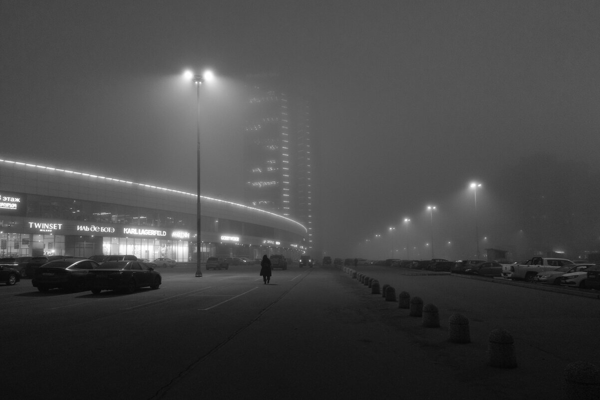 * - Светлана Воробьева