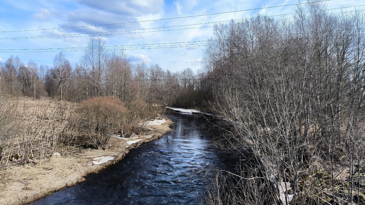 Река Гороховка. - Ольга Река Гороховка. - Ольга