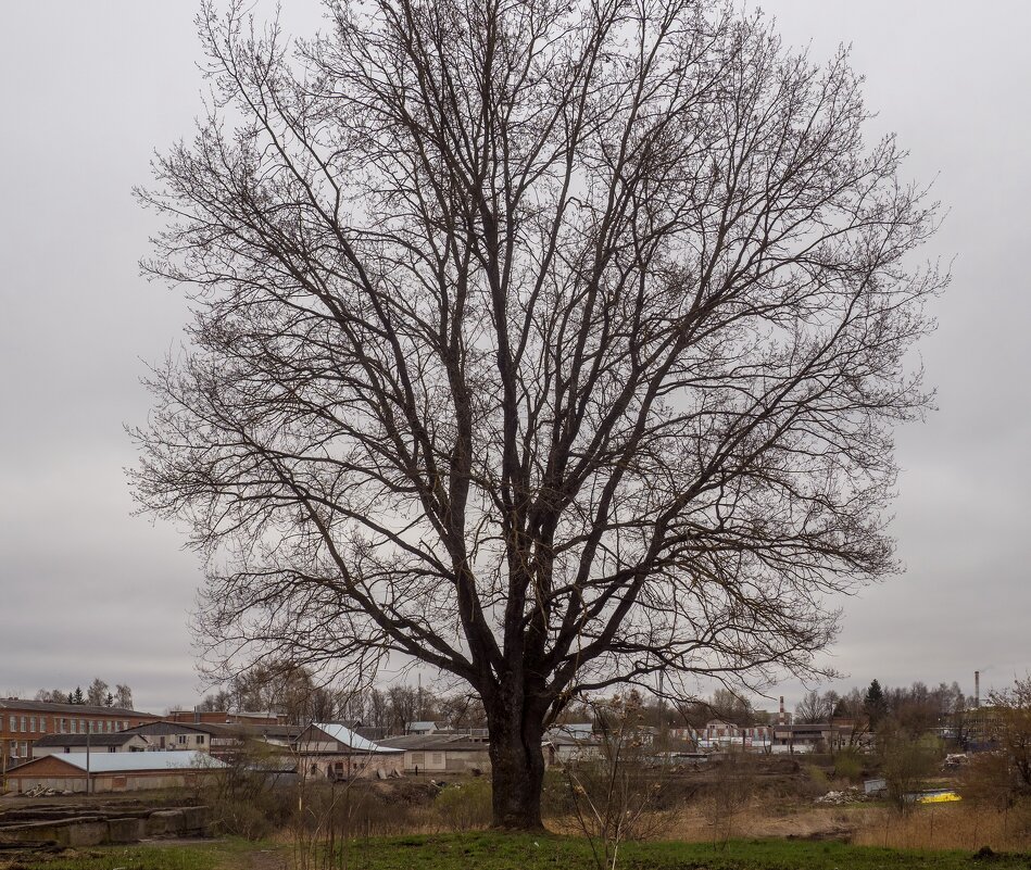 ___ - Yuriy V ___ - Yuriy V