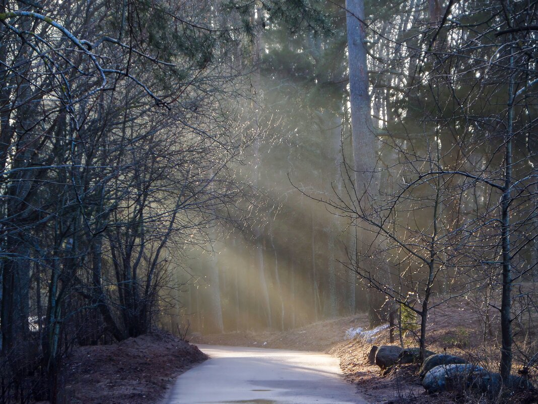 В утреннем свете...... - Юрий Цыплятников В утреннем свете...... - Юрий Цыплятников