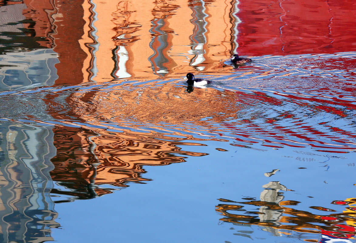 Болотная наб - Михаил Бибичков Болотная наб - Михаил Бибичков