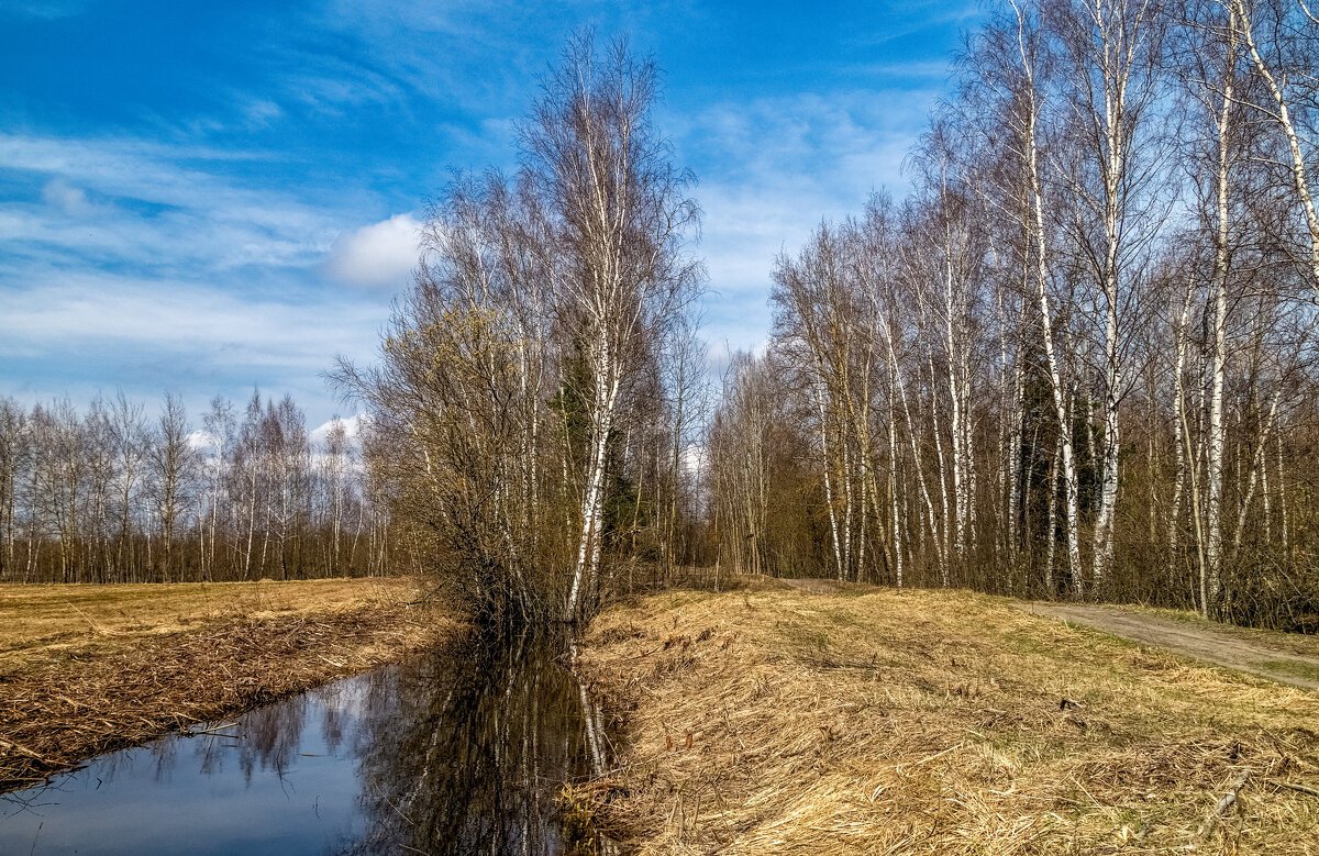 Весенняя прогулка 3. - Андрей Дворников