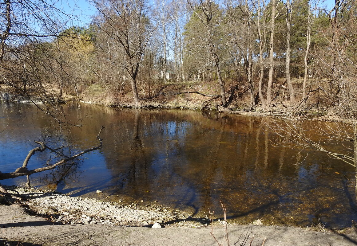 весенние зарисовки - ИННА ПОРОХОВА