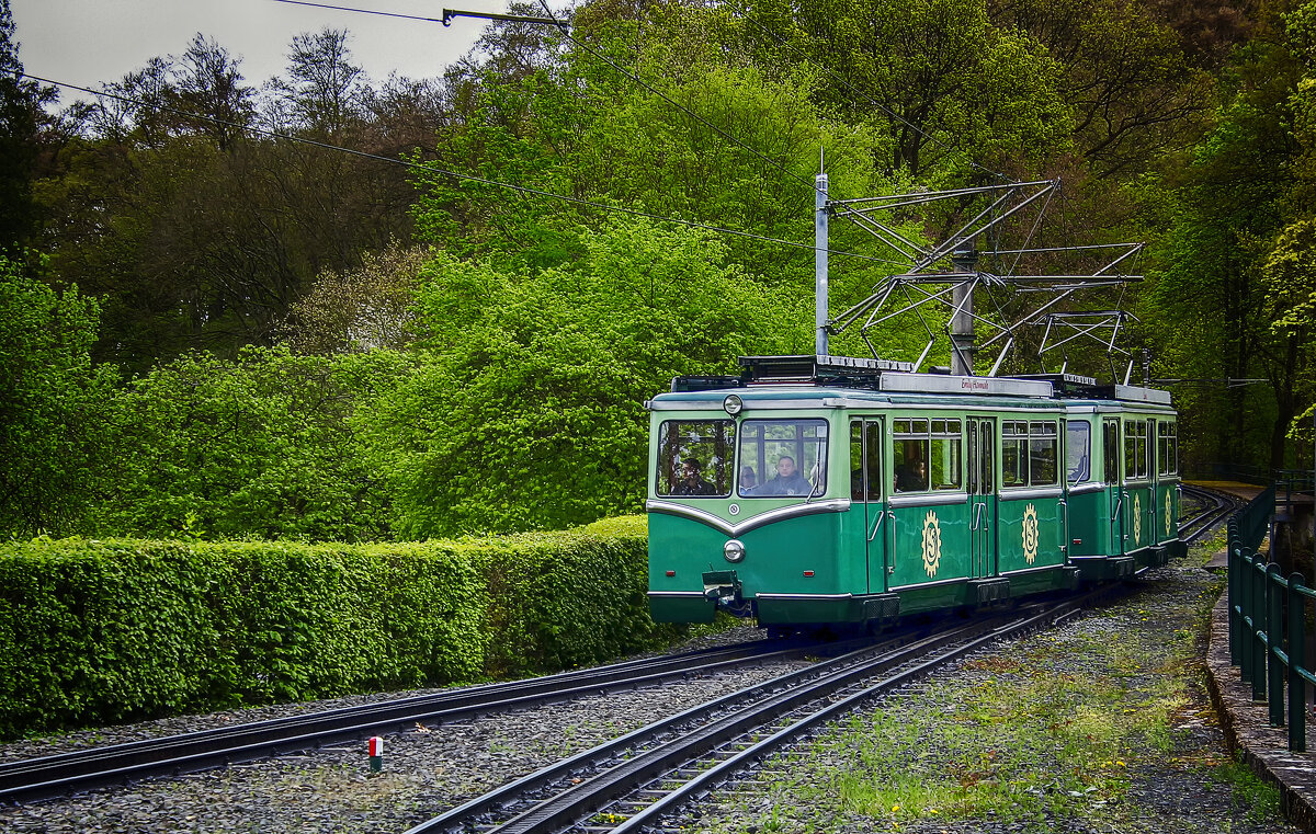 ***** - Андроник Александр 