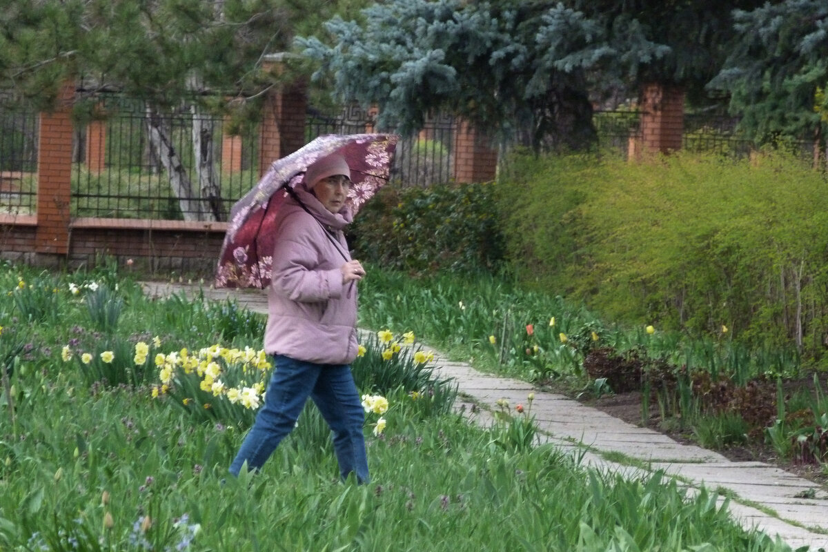 Девушка с зонтом - Валентин Семчишин
