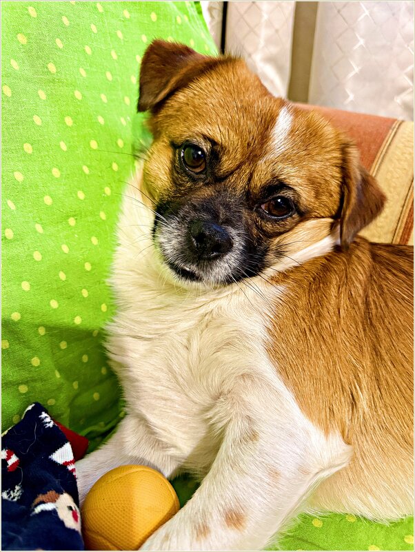 Мой сладкий. - Валерия Комова Мой сладкий. - Валерия Комова