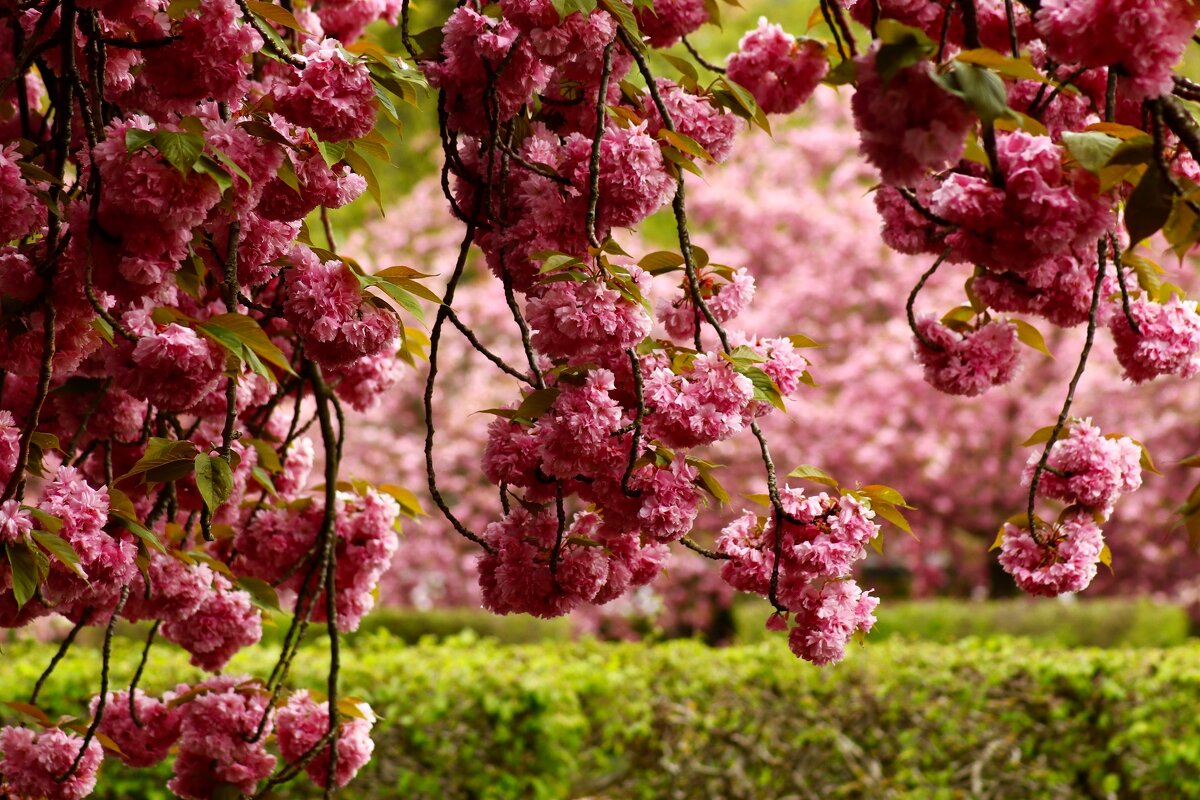 Доброе утро - Юрий. Шмаков Доброе утро - Юрий. Шмаков