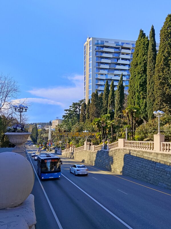 Курортный проспект - Tata Wolf