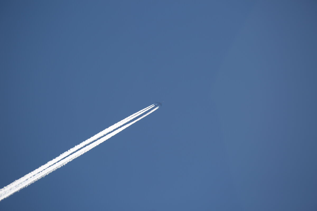 Белый Лебедь в полёте - Танзиля Завьялова