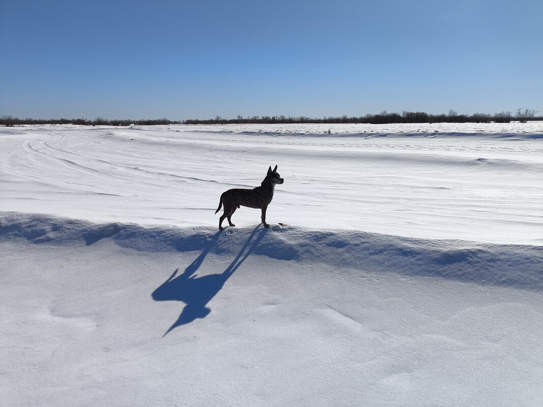 Весна - Anna Ivanova