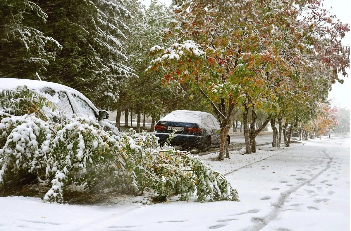 Начало сентября. - Михаил К