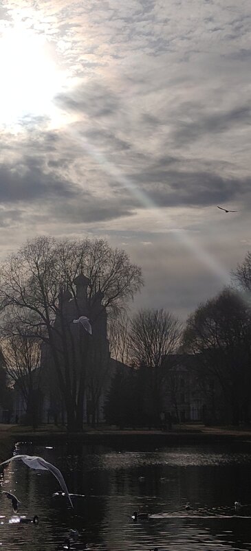 ..... - Андрей 