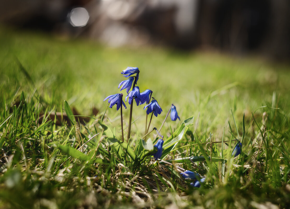 Тесная компания. - Валерий VRN