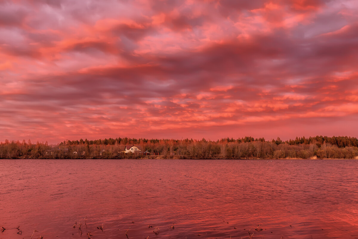 Заря - Владимир Колесников