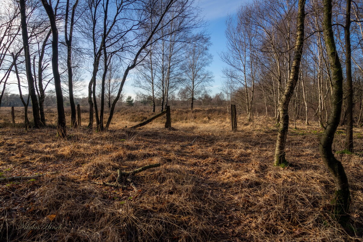 *** - Николай Гирш *** - Николай Гирш