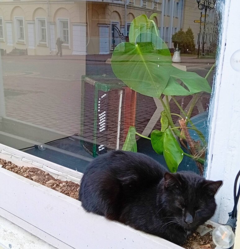 Смотритель) - Галина Бобкина