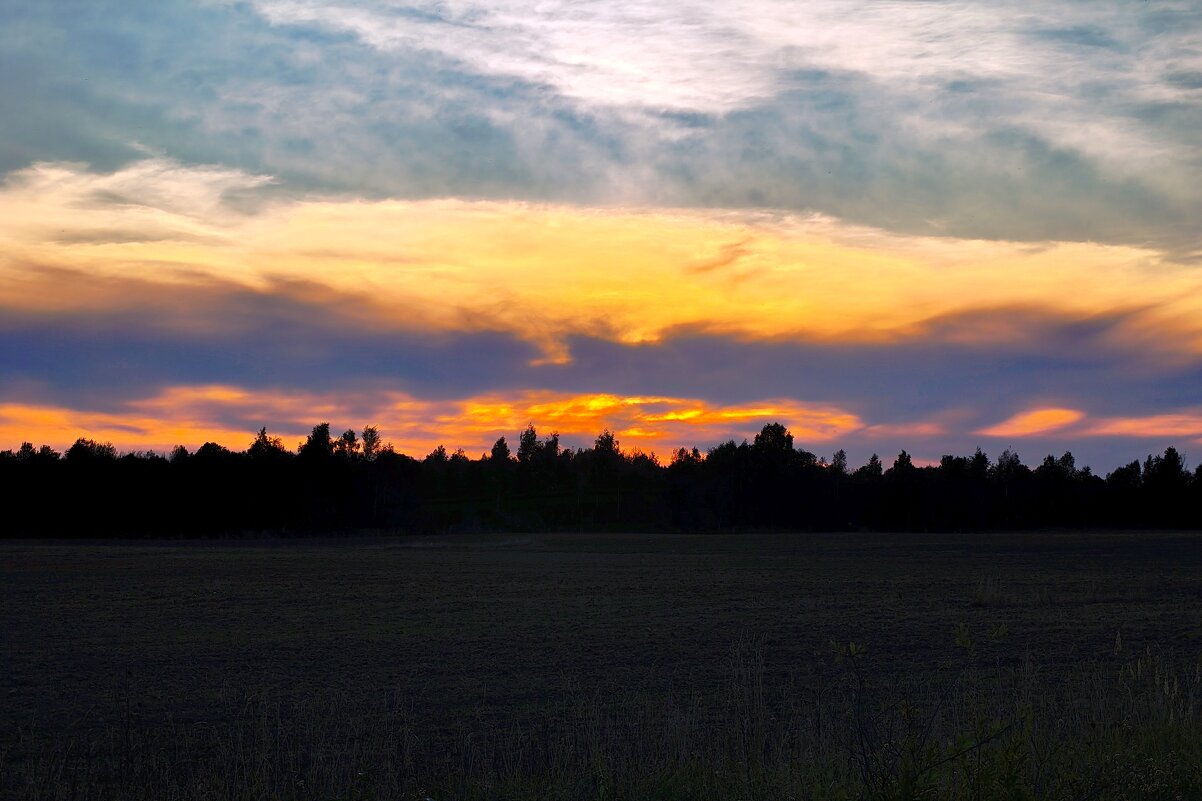 у д.Выскодь - Артем 