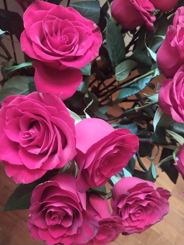 ...... - Murat Bukaev 