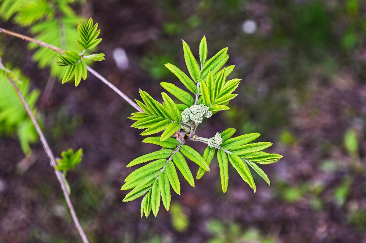 Молоденькие - Валерий Иванович