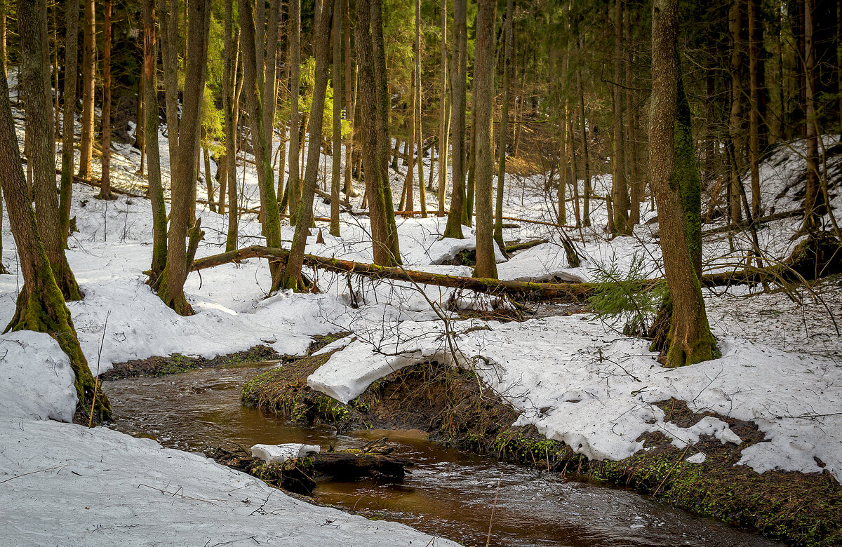 У ручья - Сергей Цветков