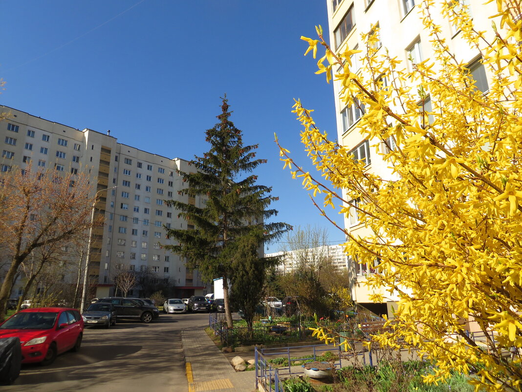 Весна в городе! - Ирина Олехнович